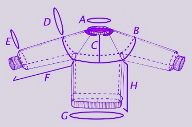 Raglan-Diagramm mit den Maßpunkten A bis H